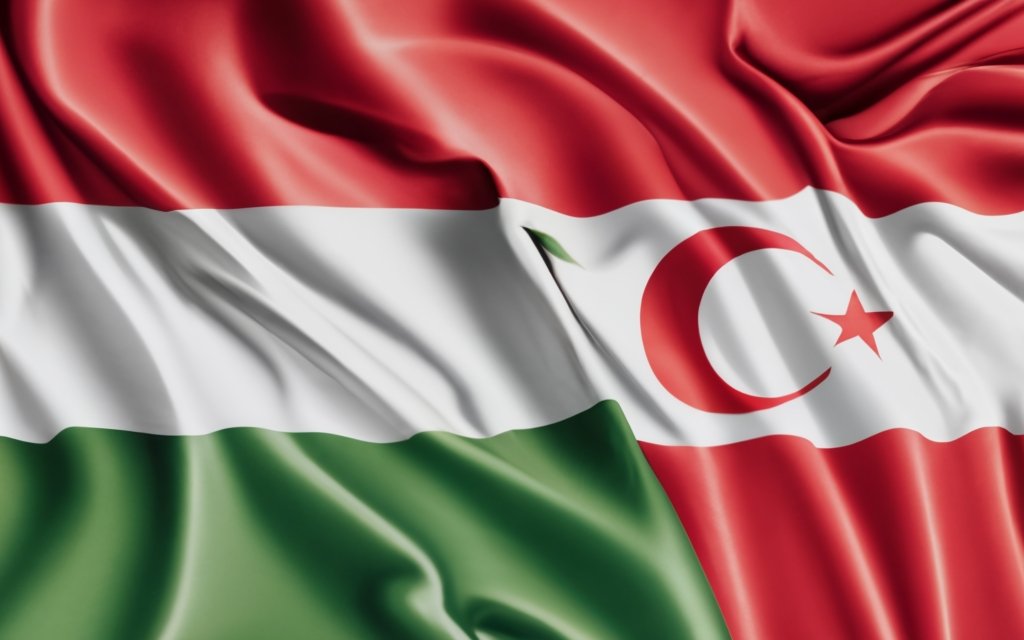 Türk Bir Şirket Olarak Macaristan'da İşe Alım: Talimatlar ve Zorluklar
